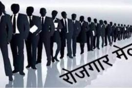 Job fair in Raipur on August 5; recruitment for 137 posts. raipur chhattisgarh hindi news khabargali 