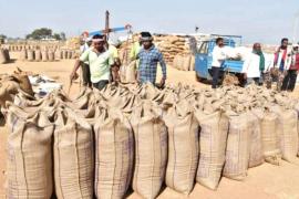 Preparations for paddy procurement in Chhattisgarh intensify 360 new centers to open and arrangements made for 3.64 lakh bales of gunny bags raipur news hindi news latest news khabargali 