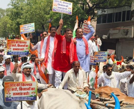 Chhattisgarh faces a fertilizer and seed crisis; Congress leaders surround the Collectorate; Congress workers and farmers arrive with bullock carts. bilaspur hindi news khabargali 