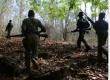  Encounter between security personnel and Naxalites, 8 Naxalites killed...  naxal attack bignews  latestnews  cgnews  narayanpurnews  cg news   khabargali 