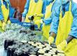 Centre's new initiative for tea vendors, now they will get professional training hindi News big News latest News khabargali 