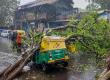 Storm and lightning wreak havoc, 7 dead, government announces compensation kolkata news big News khabargali 