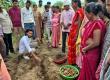 Dhamtari set to become a new hub for turmeric production; 250 farmers have adopted scientific farming methods. raipur hindi news latest news khabargali (85006)