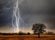 Lightning strikes: 3 dead, 5 injured. Latest news hindi news big news khabargali 