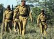 Path cleared for forest guard recruitment in Chhattisgarh; written exam for 1,484 posts on December 13, with 16,762 candidates set to appear. राइ-raipur chhattisgarh hindi news khabargali 