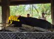 Female Himalayan bear dies at Jungle Safari had been brought to Raipur from Guwahati raipur news khabrgali 