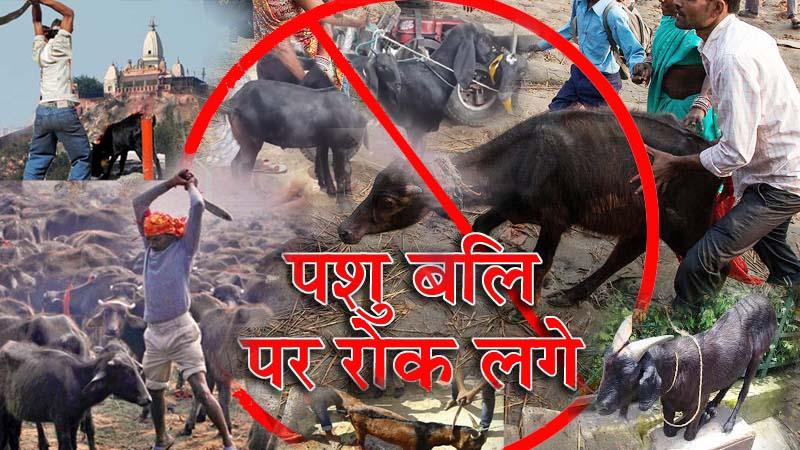 Animal sacrifices, पशु बलि