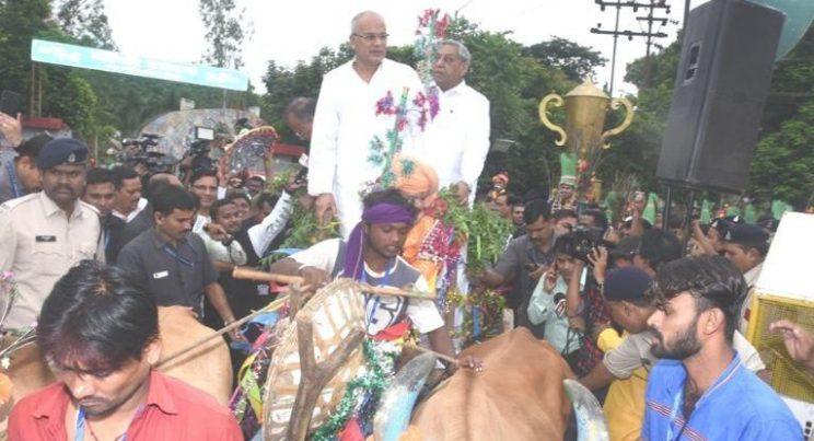 Hareli with bhupesh baghel