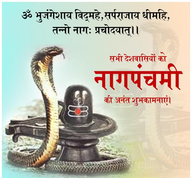 Nag Panchami, Rare coincidence, Rahu Ketu, Lord Shankar's milk anointing, Astrologer Dr Indubhavanand Maharaj, Kalsarpa Yoga, Pitru Dosha, Rudrabhishek, Uttara Yoga, Hasta Nakshatra, Nagdevata, Anant, Vasuki, Padma, Mahapadma, Takshak, Kulir, Karkat  , conch, ashtanag, khabargali