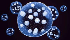 New variants of corona virus, Omicron, brakes on international flights, Union Health Ministry, new guidelines, European countries, Brazil, Bangladesh, Botswana, China, Morris, New Zealand, Zimbabwe, Singapore, Hong Kong, Israel, RTPCR test, WHO, Genomic surveillance, Modi government, Khabargali