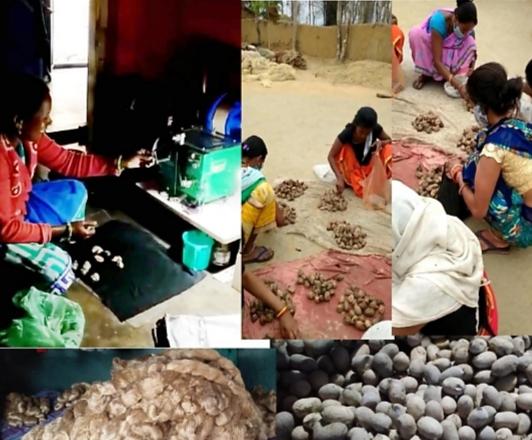 National Livelihood Mission Bihaan, Kosa threading, source of income, self-help group, Minister Guru Rudrakumar, Chhattisgarh, Khabargali