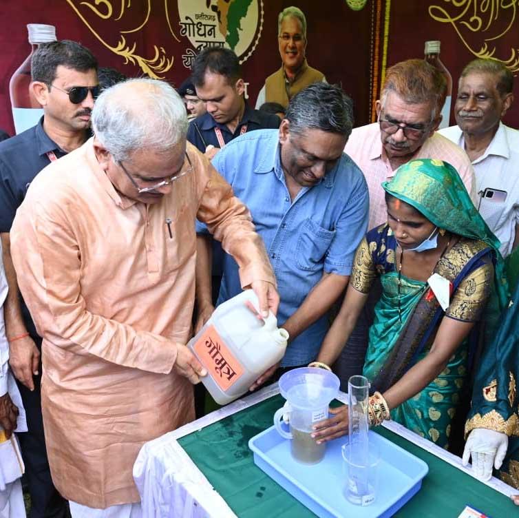 Purchase of cow urine, Gauthan, seller of cow urine, the first festival of Chhattisgarh, Hareli, Khabargali