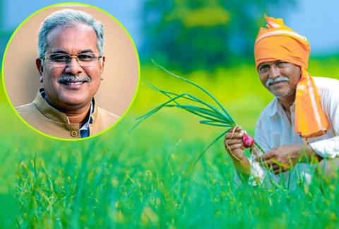 Paddy purchase, support price tur, moong urad, Chhattisgarh government, Chief Minister Bhupesh Baghel's big decision, Khabargali