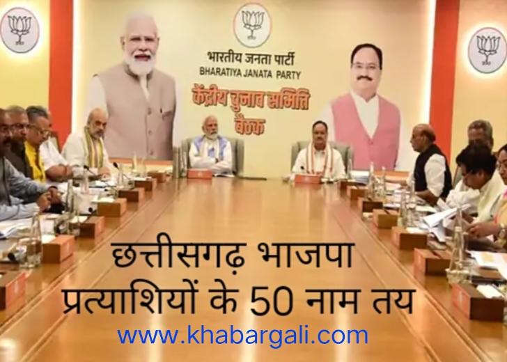 50 names of Chhattisgarh BJP candidates decided, BJP Central Election Committee, Prime Minister Narendra Modi, Assembly elections, Khabargali