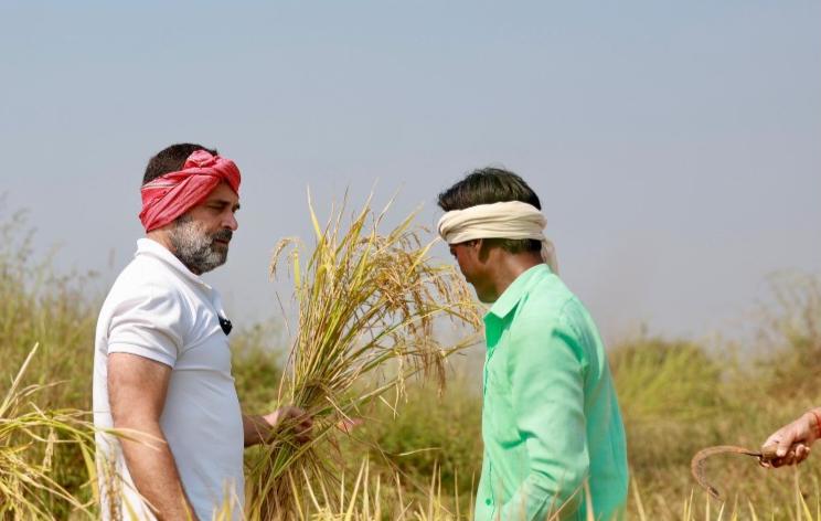 MP Rahul Gandhi's public meeting in Rajnandgaon, announcement, landless laborers will get Rs 10,000 annually, amount of health insurance scheme will be increased from Rs 5 lakh to Rs 10 lakh, Assembly Elections, Chhattisgarh, Khabargali