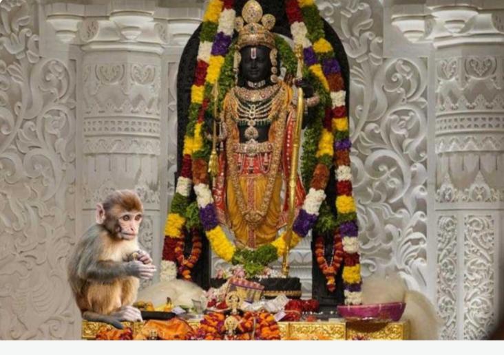 When Bajrangbali came to see Shri Ram Lalla, consecration of the idol of Ram Lalla in Ram temple, monkeys, sanctum sanctorum, Ayodhya, Khabargali