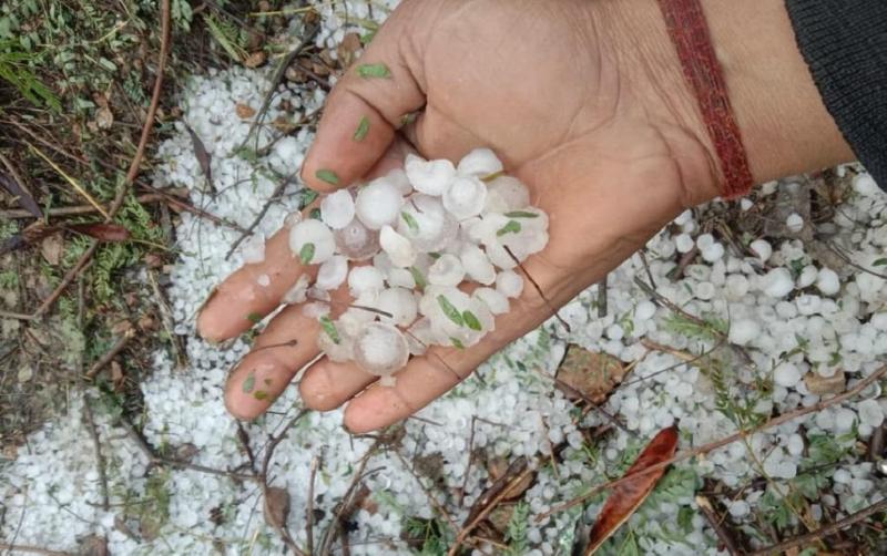 The mood of the weather changed.. rain at some places and hail at other places, Chhattisgarh, Khabargali