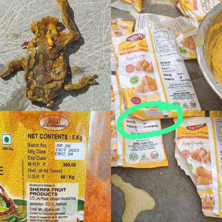 Eklavya Residential School Ramanujganj, dead frog, pickle box found in mid day meal, Chhattisgarh, Khabargali