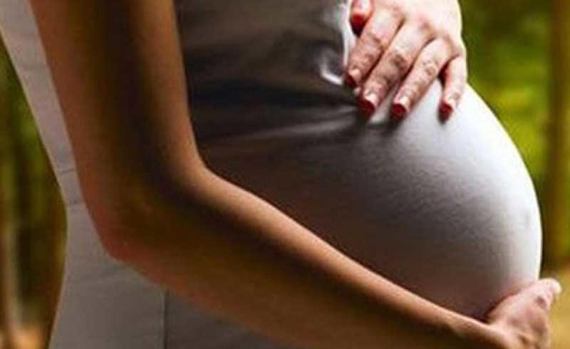 Equal maternity leave for all women employees in the education department, Chhattisgarh, Khabargali