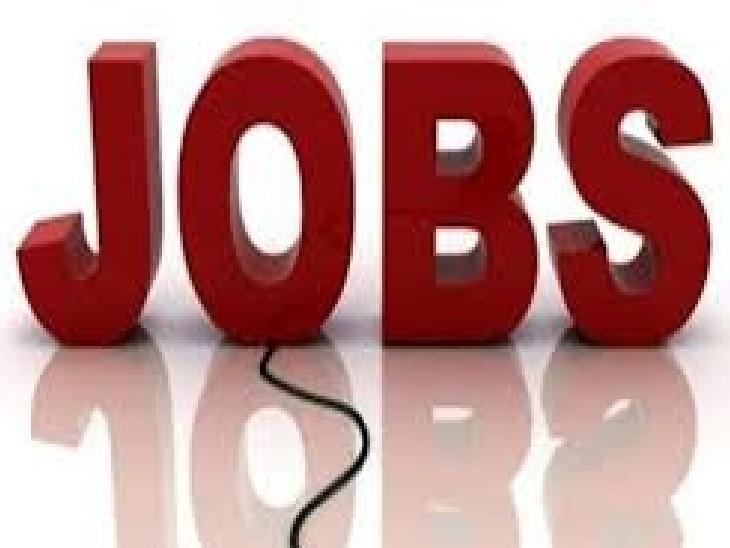 Employment fair organized for disabled people, recruitment will be done on various posts... Job news latest news khabargli