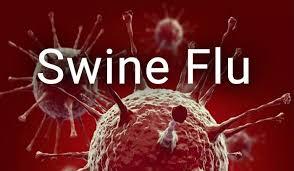 Swine flu, dengue and malaria alert in Chhattisgarh, number of positive patients reaches 72  cg news latestnews  swine flu alert khabargli 