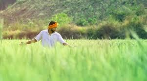 Farmers of Chhattisgarh got loan of more than Rs 6199 crore latet ns