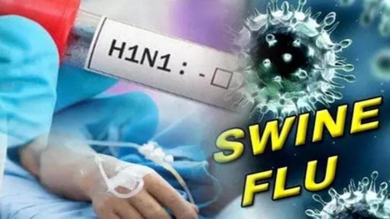 25 active patients of swine flu in the state, health department on alert...  swain flu raipurnews cg bignews hindi news latestnews khabargali 