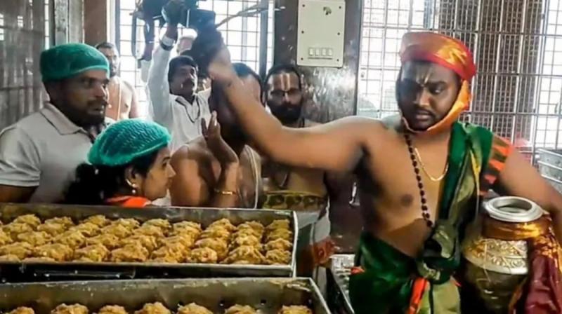 Maha Shanti Homa was conducted in Tirupati, Prasad kitchen was purified with cow urine, news of animal fat being mixed in Tirupati temple's laddu, Khabargali