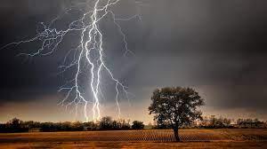 7 killed due to lightning, CM expressed grief... cg news latestnews chhattisgarh news cg bignews khabargali 
