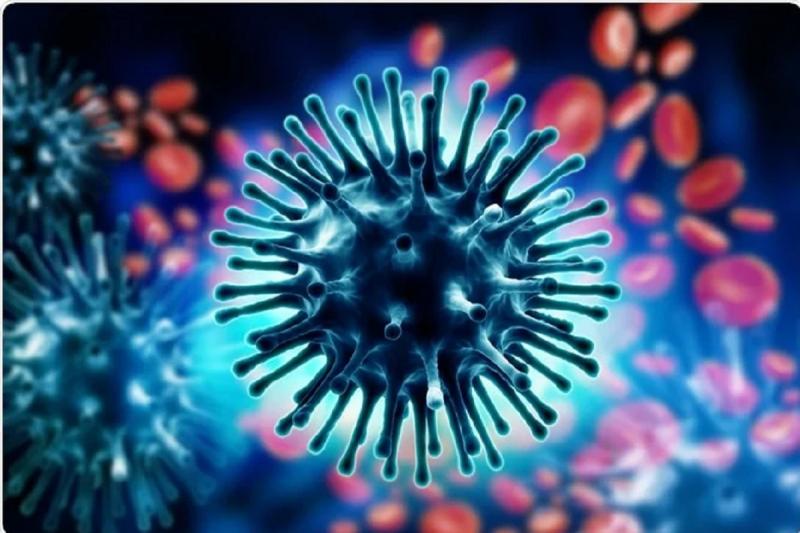 Swaine flu in CG: Swine flu out of control in the state, patient admitted in hospital for 36 days dies cgnews