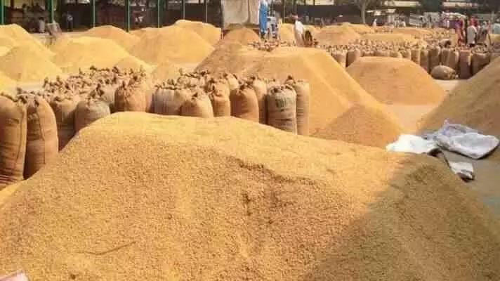 Paddy procurement will start in Chhattisgarh from November 15, farmers will get support price of Rs 3100 per quintal. Cg news latest news cg hindi news khabargli 