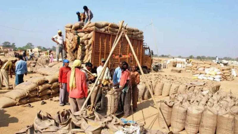 Paddy will be purchased in Chhattisgarh from November 15, this day is the last date for registration. cg news hindi news cg latest news khabargali
