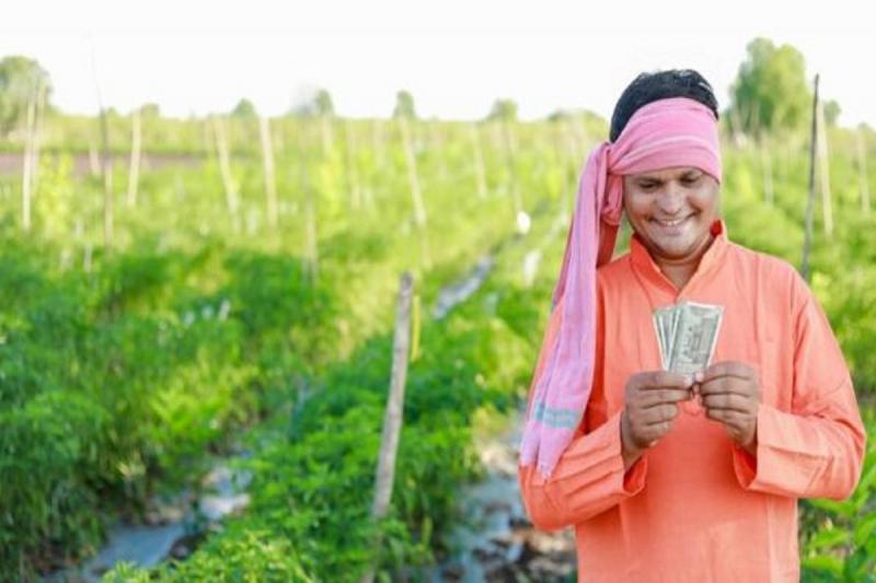 दिवाली से पहले किसानों की मौज, 18.66 करोड़ रुपए खाते में हुए ट्रांसफर Farmers' fun before Diwali, Rs 18.66 crore transferred into their accounts cg diwali 2024 cg hindi news cg big news khabargali
