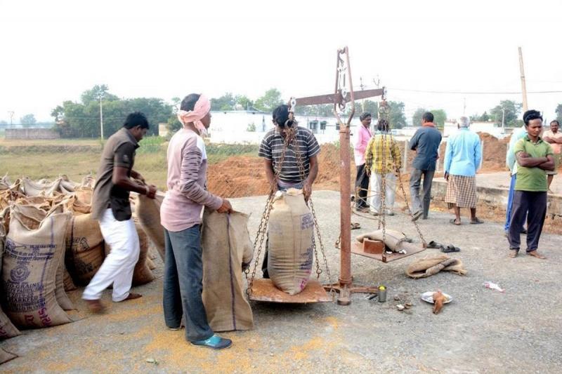 प्रदेश में पहले दिन 55 हजार मीट्रिक टन धान की खरीदी, 14567 किसानों ने बेचा धान खबरगली 55 thousand metric tons of paddy purchased in the state on the first day, 14567 farmers sold paddy Khabargali cg news hindi news cg big news latest news cg hindi news khabargali