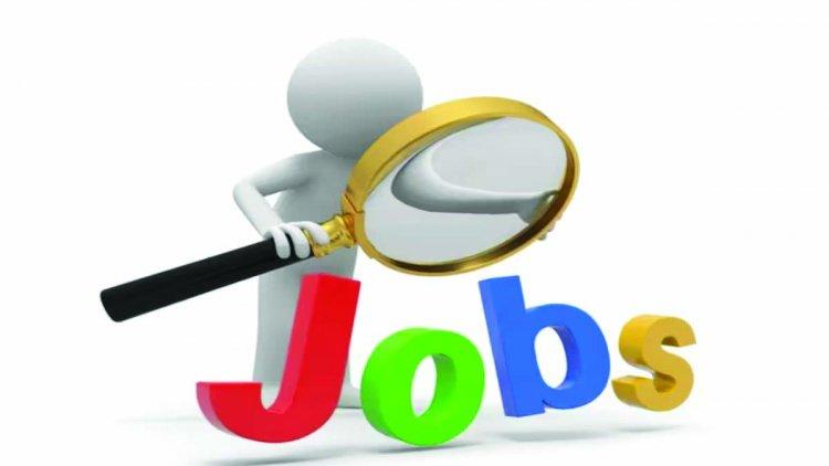 100 से अधिक पदों पर होगी भर्ती, 10वीं पास होना अनिवार्य खबरगली There will be recruitment on more than 100 posts, 10th pass is mandatory cg news cg hindi news cg jobs cg big news khabargali