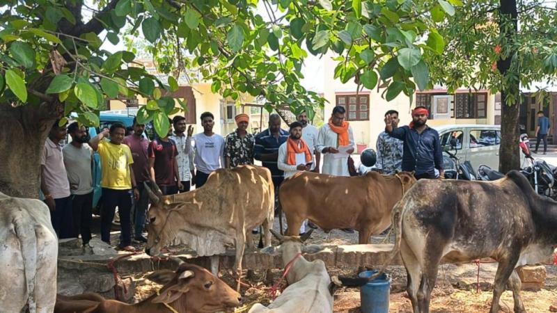Police action on cow smuggling, 8 cows recovered from pickup vehicle, two accused arrested, Raipur, Chhattisgarh, Khabargali