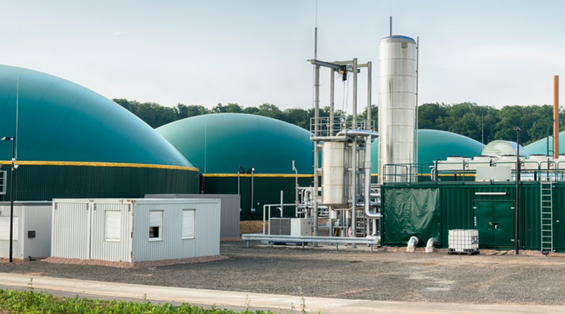 Bio-CNG plants will be set up in 8 cities including Raipur, construction will be done at a cost of 800 crores hindi news Big News latest news khabargli 