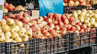 Turkish tiles and apples will no longer be available in Chhattisgarh, traders refuse to buy them latest News hindi news big News  khabargali 