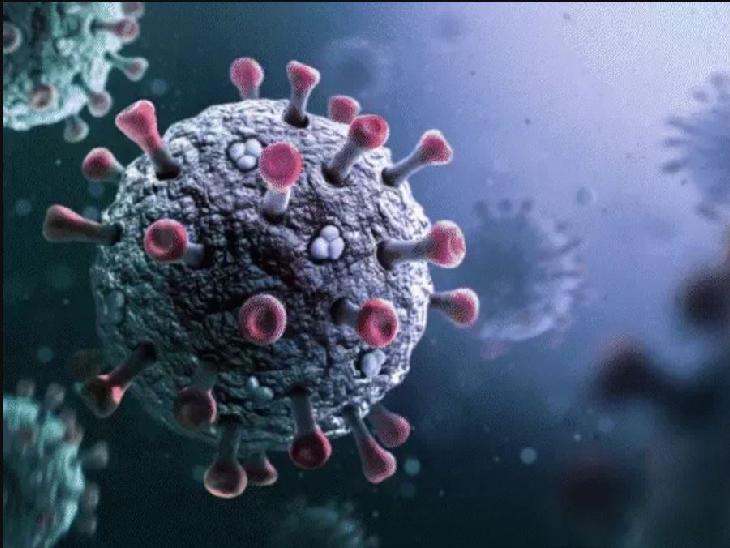 Corona infection increased in Chhattisgarh, 9 new patients were found cg news Big News latest news Khabargali 