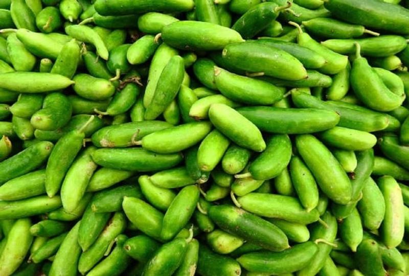 6 members of a family fell ill after eating Kunduru vegetable, treatment continues in SIMS latest news hindi News big News Chhattisgarh news khabargali 