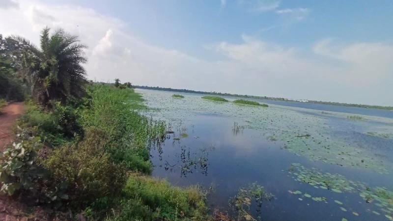भारत-दक्षिण अफ्रीका वनडे मैच के टिकटों की ऑनलाइन बुकिंग शुरू,  3 दिसंबर को खेला जाएगा वनडे सीरीज का दूसरा मैच खबरगली Online booking of tickets for the India-South Africa ODI match has begun; the second match of the series will be played on December 3. Raipur Hndi news khabargali 