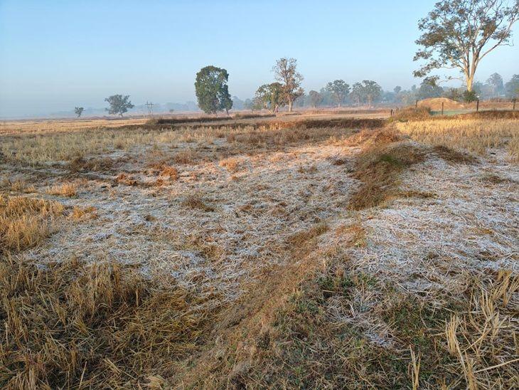 छत्तीसगढ़ में ठंड का कहर जारी, सबसे ज़्यादा शीतलहर की चपेट में अंबिकापुर खबरगली Cold wave continues to wreak havoc in Chhattisgarh, Ambikapur worst affected Raipur chhattisgarh hindi news khabargali 