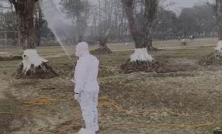 मैदान में 150 से अधिक मृत कौवे मिले , बर्ड फ्लू की पुष्टि के बाद अलर्ट ख़बरगली Over 150 dead crows found in field, alert issued after bird flu confirmed patna hindi news khabargali 