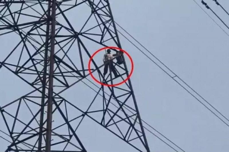  A villager climbed a high-tension electricity tower and accused the company of land grabbing. Raipur chhattisgarh hindi news khabargali 