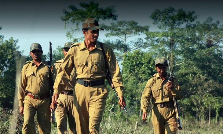 Government jobs in Chhattisgarh, Forest Guards will be recruited for 1484 posts, exam date will be announced soon. Cg news latest Hindi khabargali 