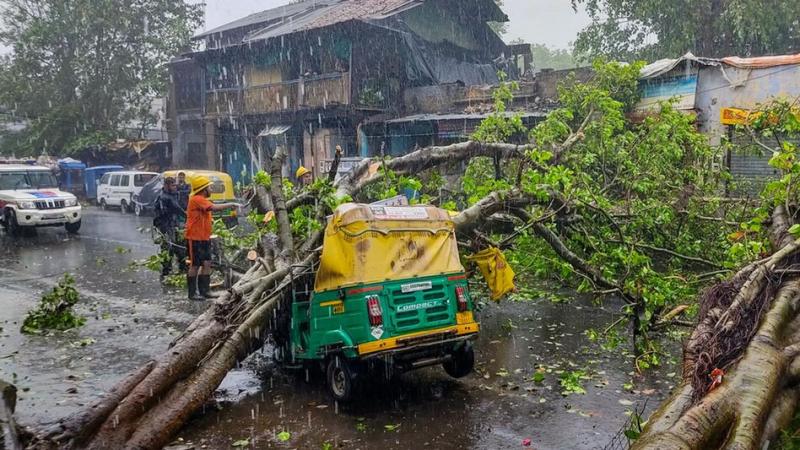 Storm and lightning wreak havoc, 7 dead, government announces compensation kolkata news big News khabargali 
