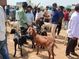 Bakrid alert: Ban on open-air sacrifice, action to be taken against DJs raipur chhattisgarh latest news khabargali  