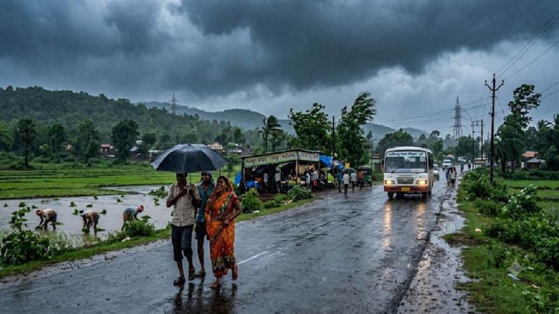 Monsoon to intensify in Chhattisgarh; alert issued for rain and lightning over the next 7 days. Hindi news latest Hindi news khabargali 