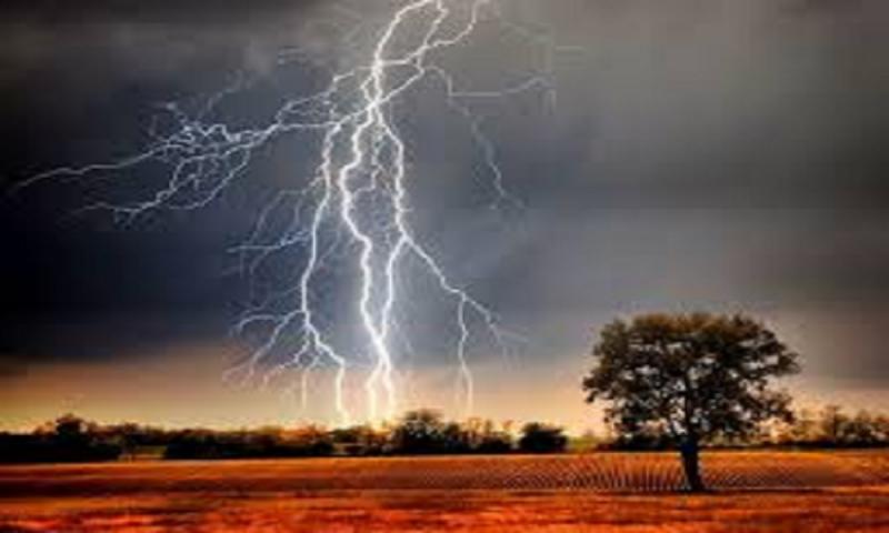 Lightning strikes children gathering mangoes in Ambikapur; 3 dead, including 2 young children. ambikapur chhattisgarh hindi news khabargali 