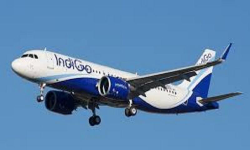   IndiGo hikes baggage fees; air travelers to feel the pinch—find out how much the rates have increased. raipur cg news indigo hindi news latest khabargali